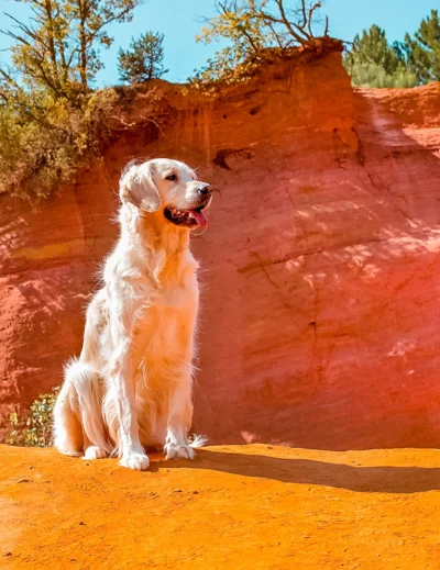 Le Colorado Provençal avec son chien goldntravels