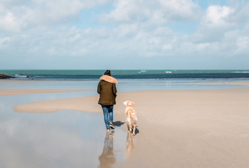 Challenge de 99 balades avec son chien