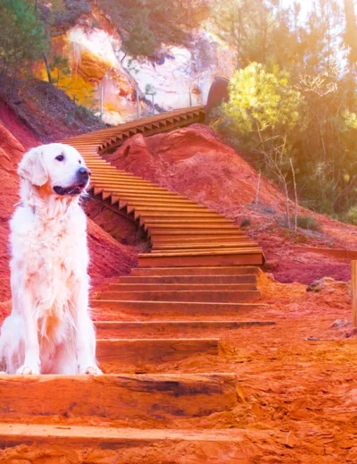 Sentier des Ocres de Roussillon avec son chien