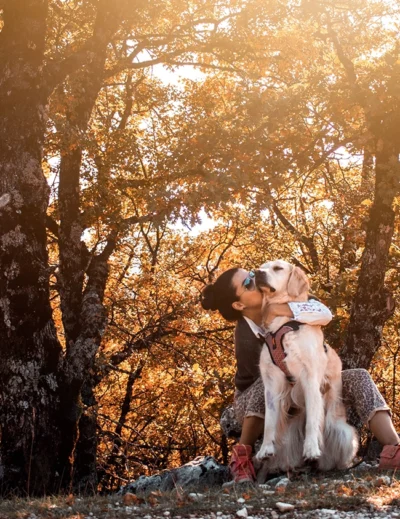 randonnée Mont Ventoux avec son chien