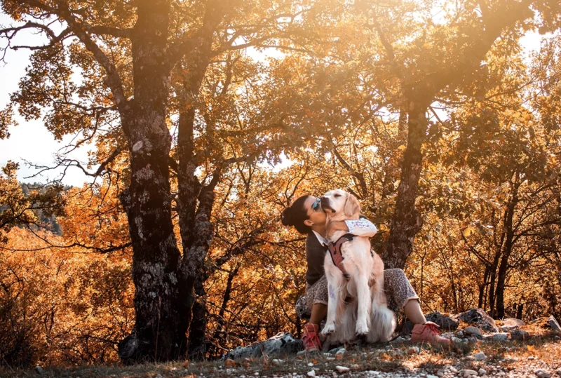 randonnée Mont Ventoux avec son chien