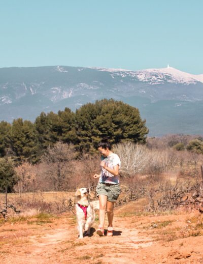 Cani randonnée avec son chien