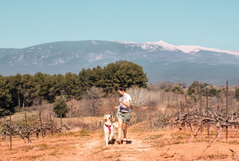 Cani randonnée avec son chien