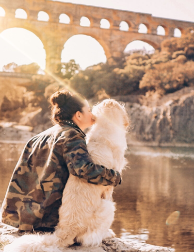 Chien devant un monument historique en France