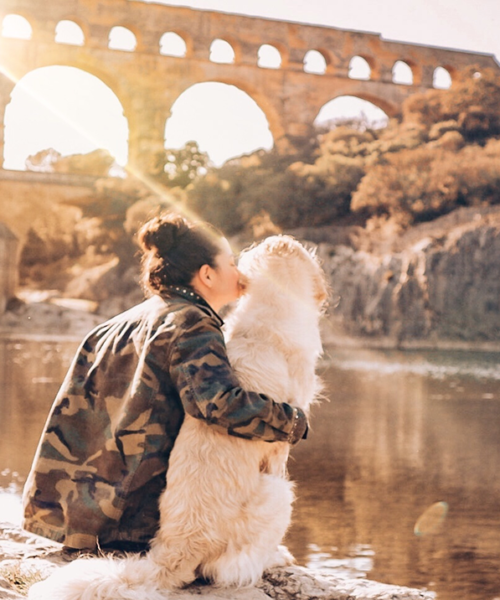 Chien devant un monument historique en France