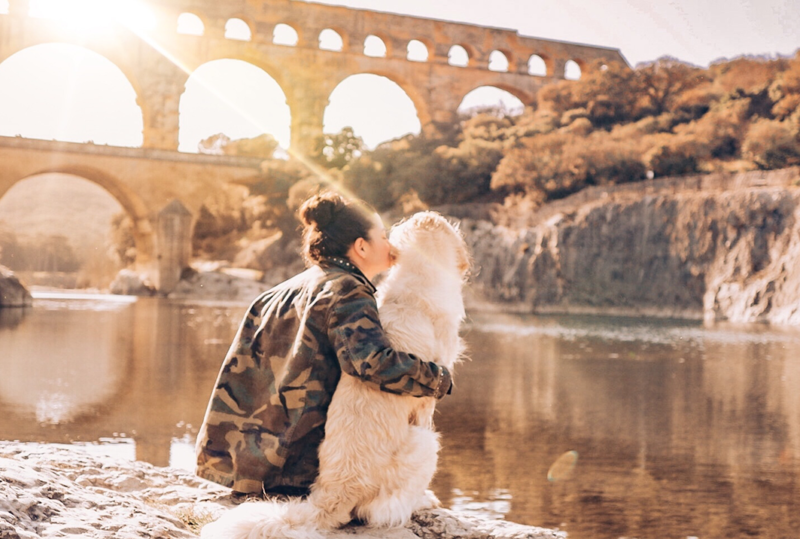 Chien devant un monument historique en France