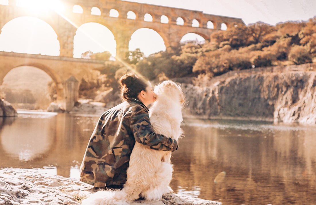 Chien devant un monument historique en France