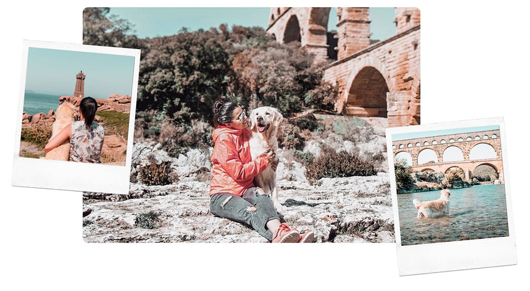 Chien devant un monument historique en France