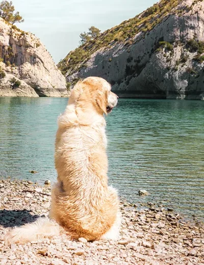 peut-on allerau Lac de Peiroou Saint Remy de Provence avec son chien