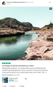 Chien en randonnée dans un parc naturel en France