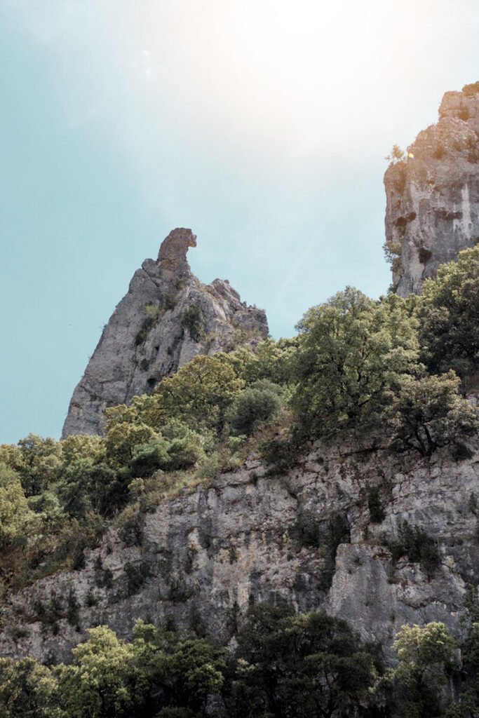 Vacances à Vallon Pont d'arc avec son chien