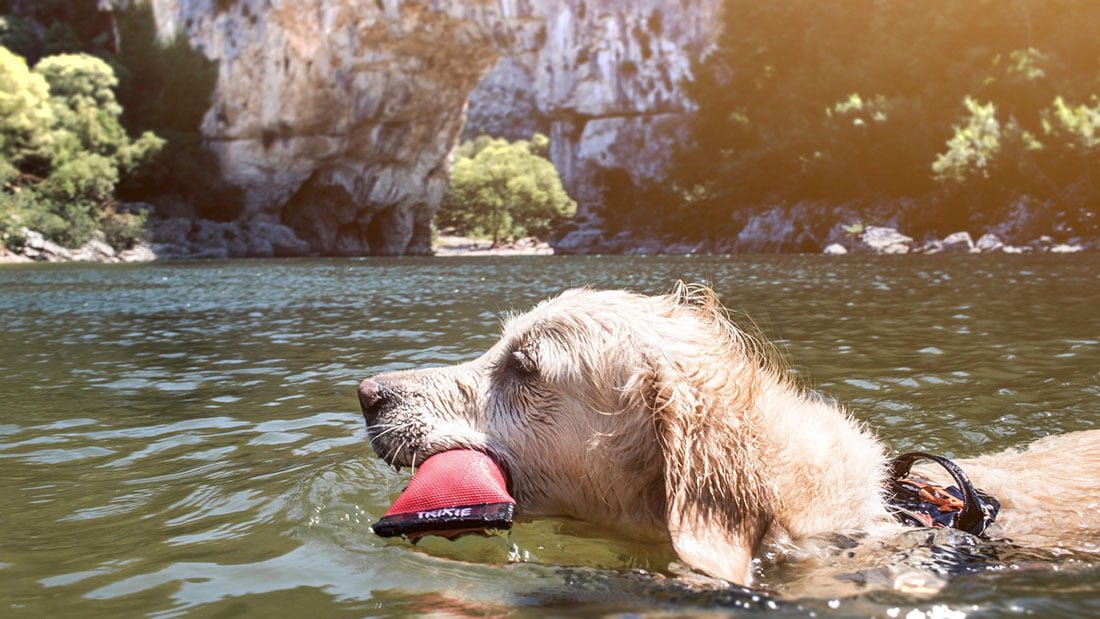 Vallon Pont d'arc avec son chien 