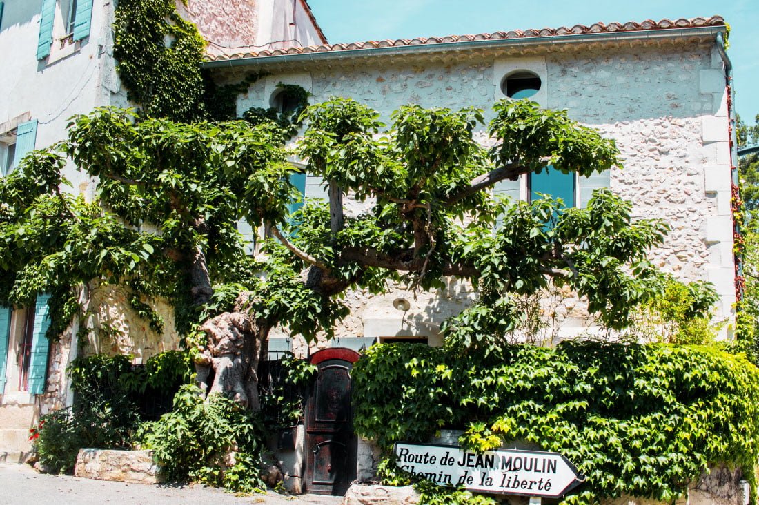 Village de Saint Rémy de Provence avec son chien