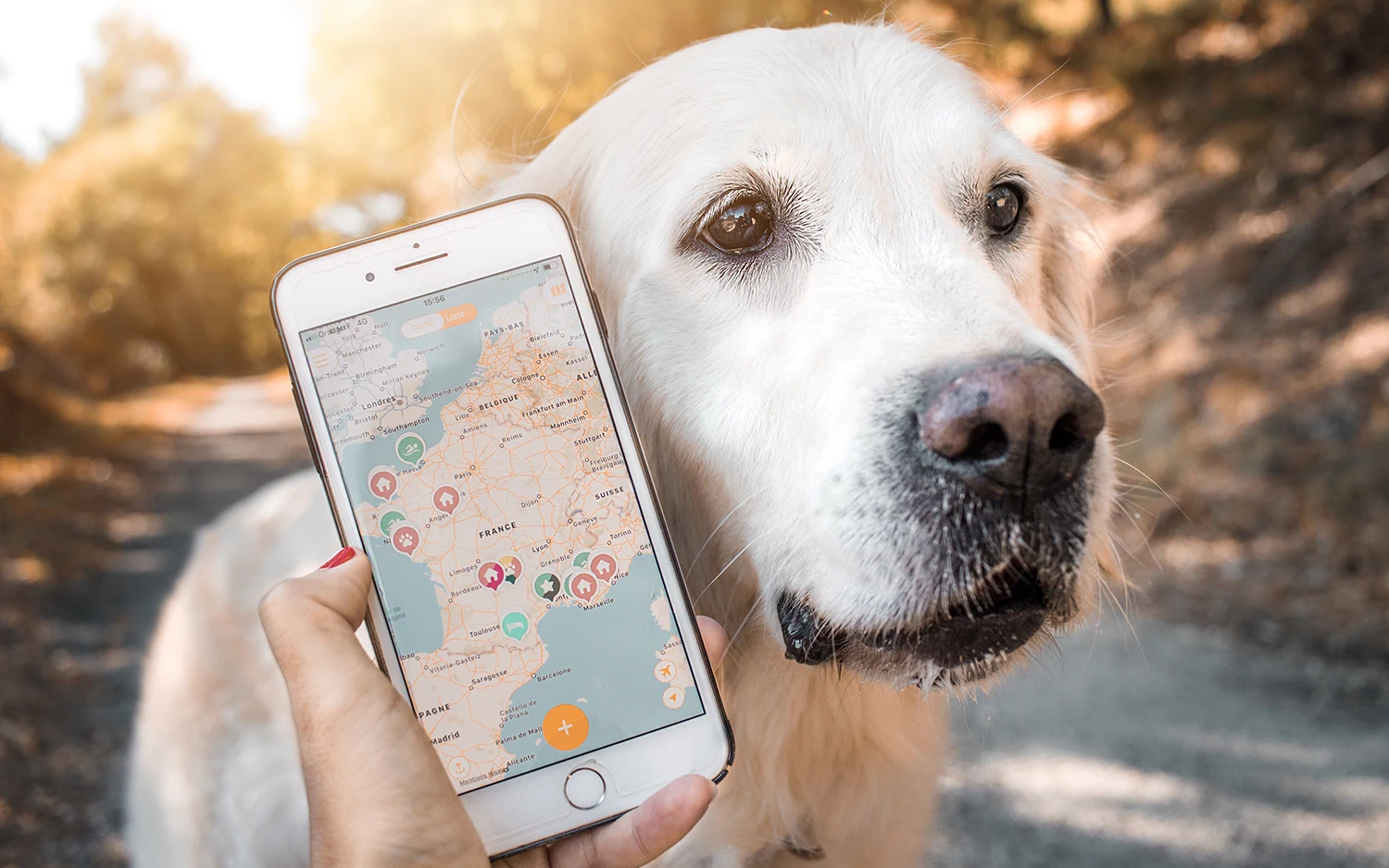 Application mobile pour chien Dog Friendly Mapstr