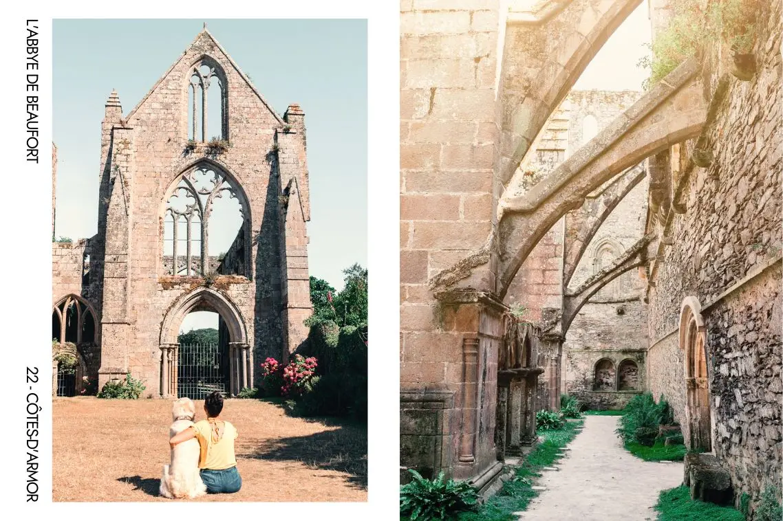 L'abbaye de Beauport avec son chien 