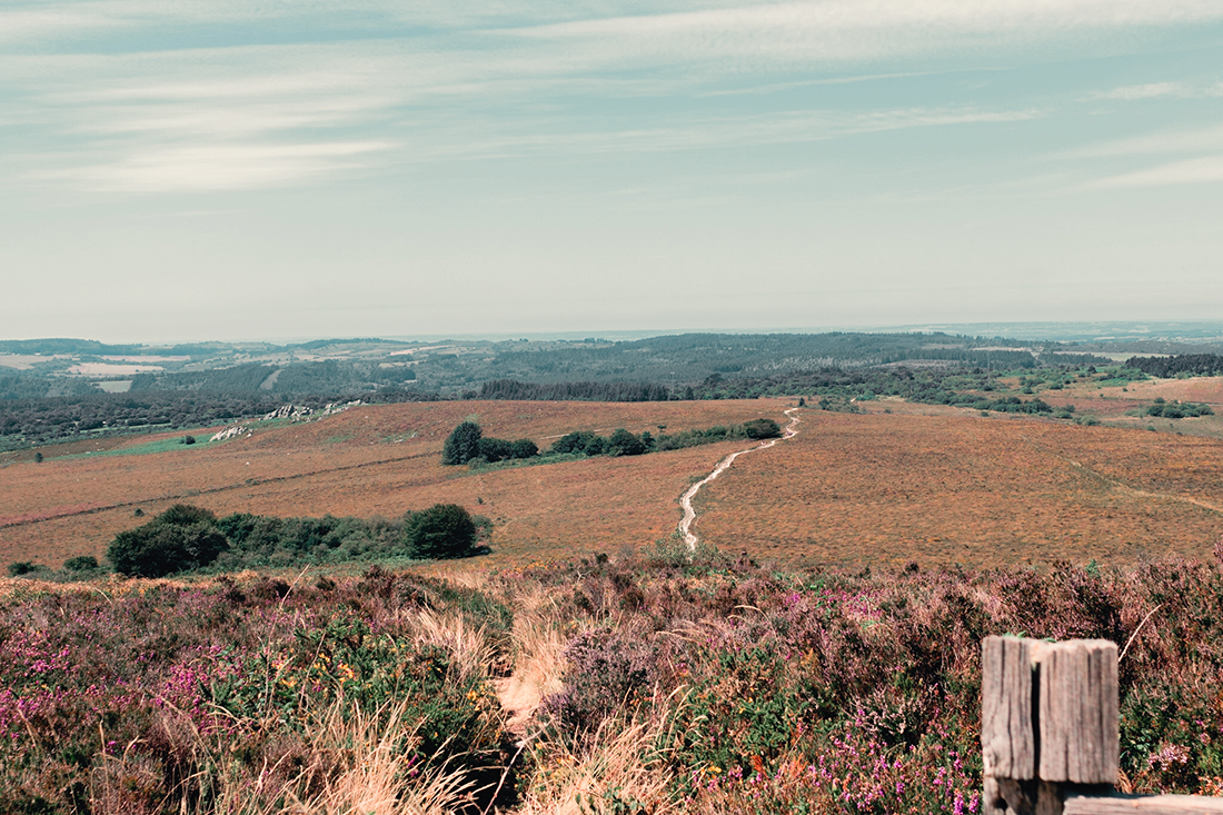 Les Monts d'Arrée en Bretagne 