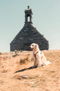 Les Monts d'Arrée avec son chien