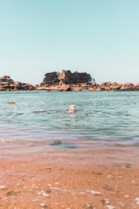 Plage côte de granite rose dans les côtes d'Armor chien