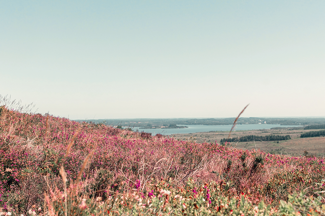 Randonnée dans les Mont d'Arrée 