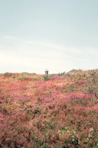 Randonnée dans les Mont d'Arrée