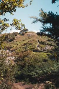 Randonnée en Bretagne avec sonc chien pointe de Bihit