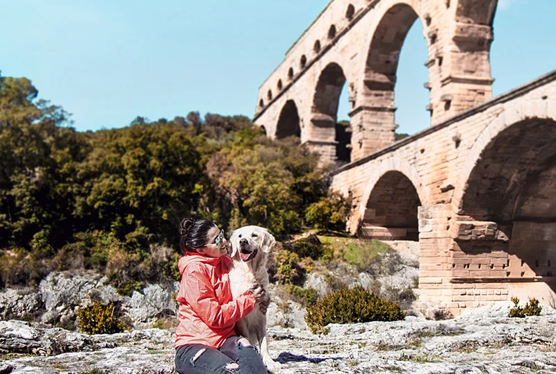 Baigande pont du gard chien