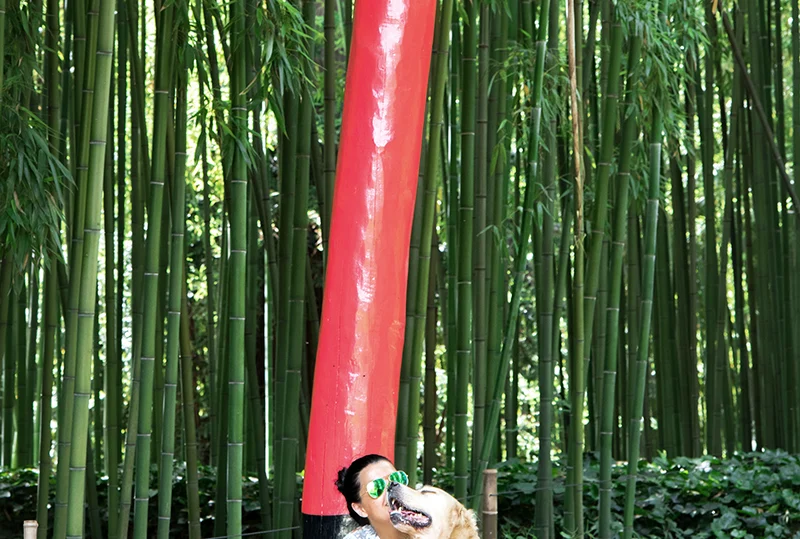 La Bambouseraie d Anduze avec son chien